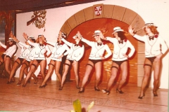 1981 (6)