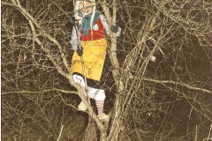 1991 (1)