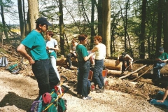 2001 (5)