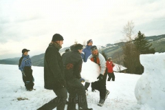 2002 (12)