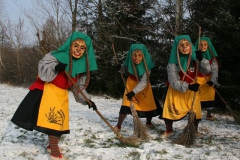 2009-01-06 Haes Abstauben (2)