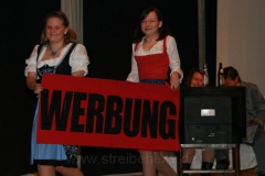 2009-02-14 Narrenschau (4)
