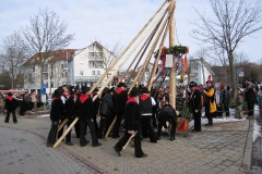 2009-02-19 Narrenbaumstellen (3)