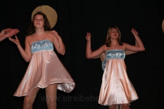 2010-02-06 Narrenschau (3)