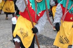 2010-02-07 Meersburg (1)