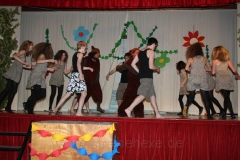 2011-02-26 Narrenschau (1)
