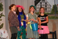 2011-02-26 Narrenschau (3)