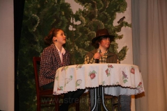 2011-02-26 Narrenschau (4)