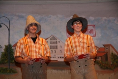 2011-02-26 Narrenschau (5)