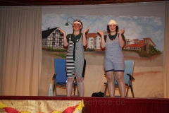 2011-02-26 Narrenschau (8)
